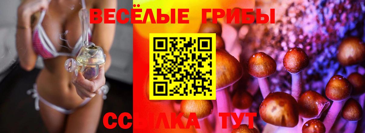 наркошоп  Вход с VPN  Псилоцибиновые грибы Psilocybine cubensis  Красноармейск  Псилоцибиновые грибы прущие грибы 